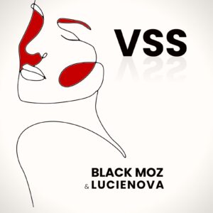 Pochette VSS 300x300